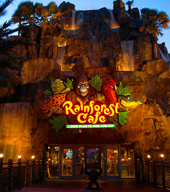 Rainforest Cafe