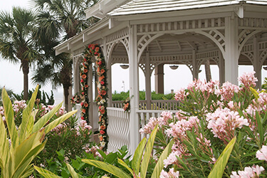 Scenic Wedding Ceremony